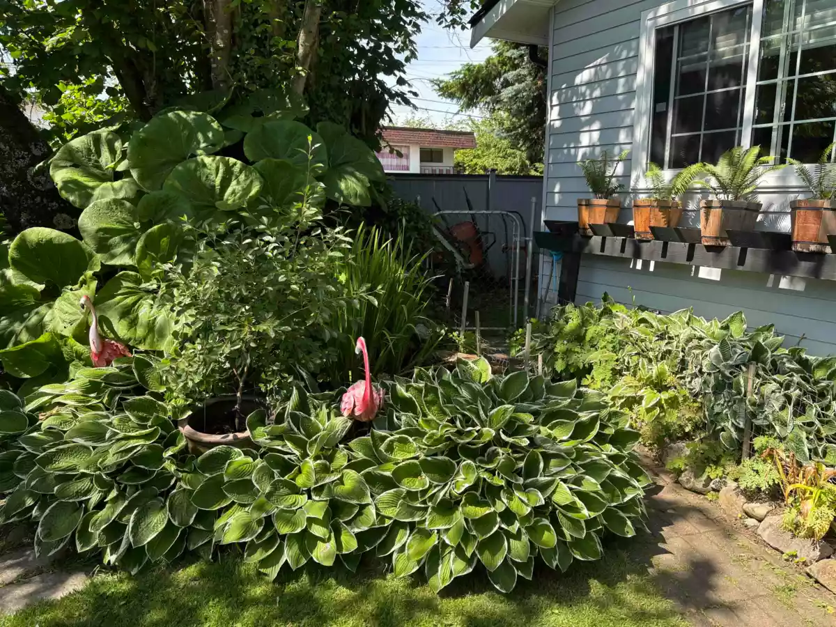 Street View Photo of 7217 Mary Avenue, Burnaby, BC