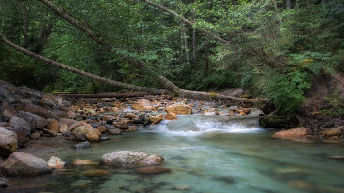 Bedroom 4 Photo of 4731 Sea To Sky Highway, Squamish, BC