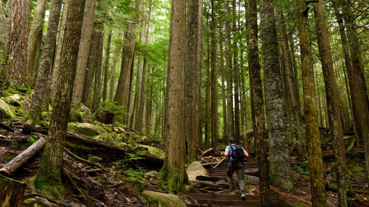 Walk-In Closet Photo of 4731 Sea To Sky Highway, Squamish, BC