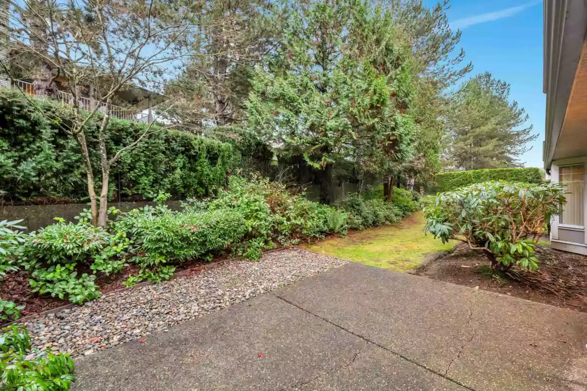 Backyard Photo of 159 20391 96 Avenue, Langley, BC