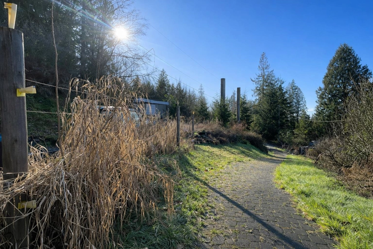 Entry Foyer Photo of 31081 Silverhill Avenue, Mission, BC