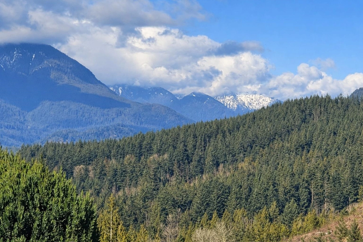 Outdoor Deck Photo of 31081 Silverhill Avenue, Mission, BC