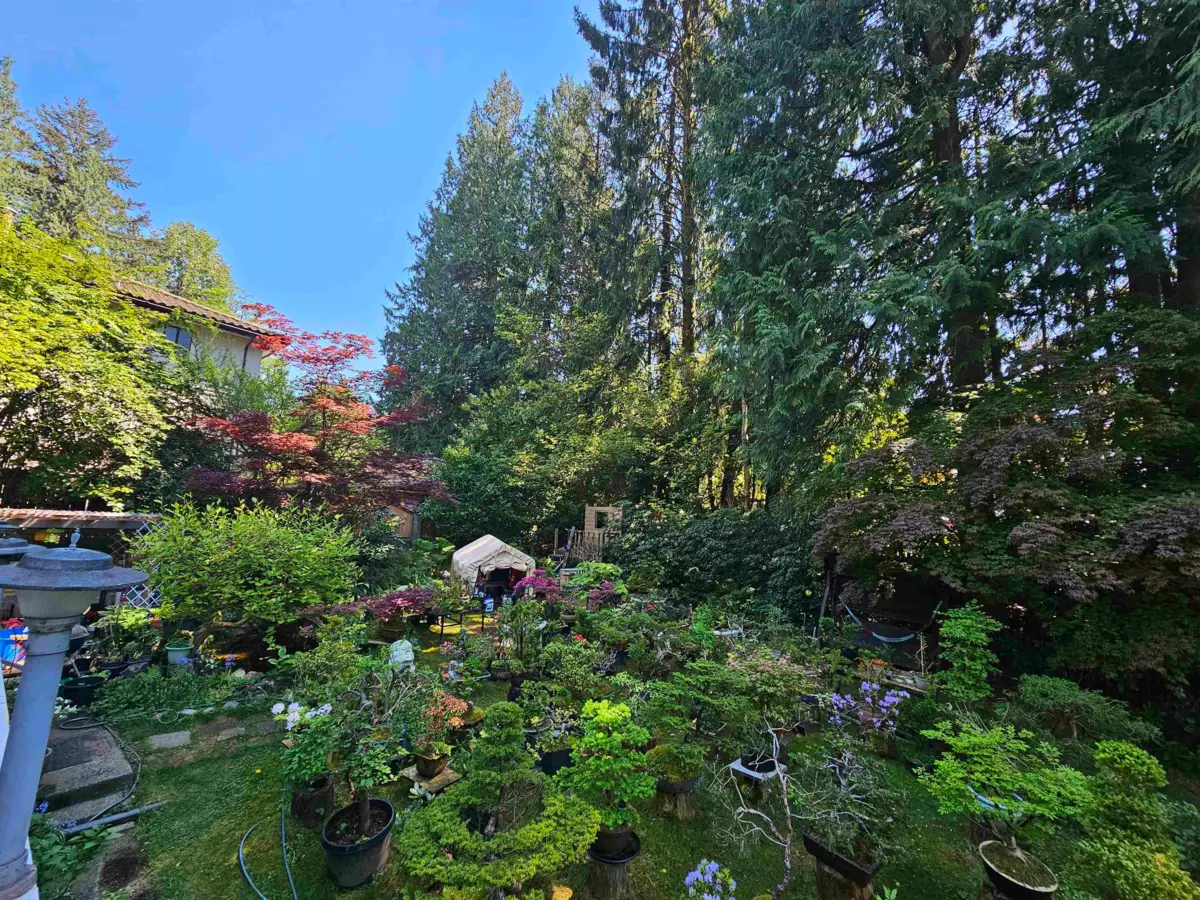 Exterior Rear Photo of 435 E Osborne Road, North Vancouver, BC