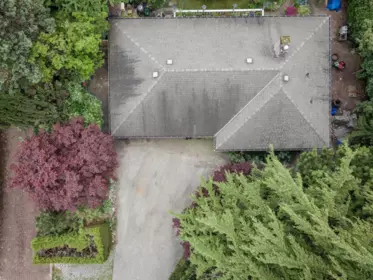 Backyard Photo of 435 E Osborne Road, North Vancouver, BC