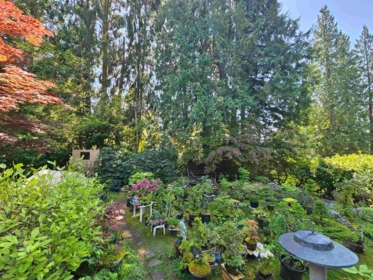 435 E Osborne Road, North Vancouver, BC, North Vancouver — Single Family Residence for sale