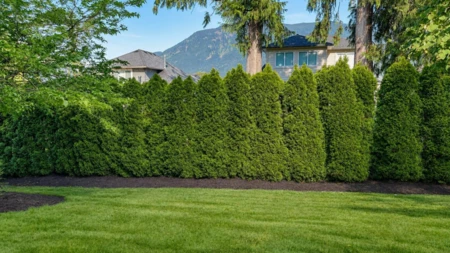 Hot Tub / Spa Photo of 38 14550 Morris Valley Road, Mission, BC