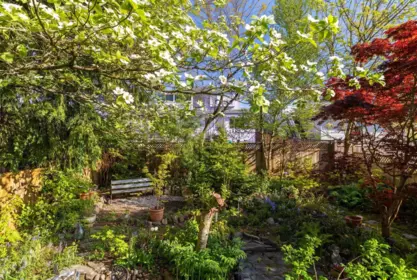Outdoor Kitchen Photo of 4578 Moss Street, Vancouver, BC