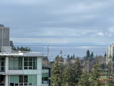 Garden / Landscaping Photo of 1910 5608 Berton Avenue, Vancouver, BC