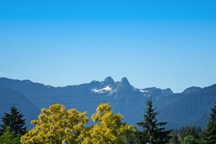 Backyard Photo of 917 Wavertree Road, North Vancouver, BC