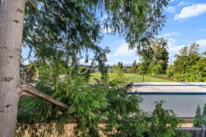 Swimming Pool Photo of 23 14271 60 Avenue, Surrey, BC