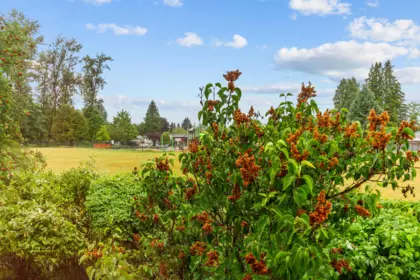 Outdoor Patio Photo of 15 23085 118 Avenue, Maple Ridge, BC