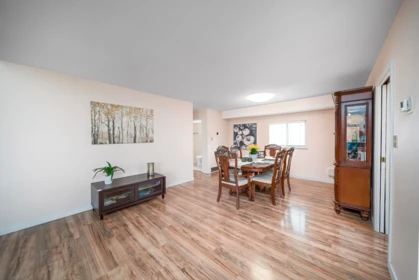 1269 Michigan Drive, Coquitlam, BC, Coquitlam — Single Family Residence for sale