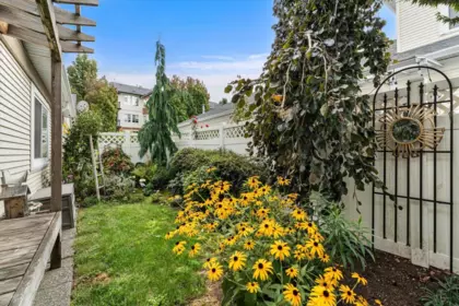 Basement Recreation Room Photo of 186 8485 Young Road, Chilliwack, BC