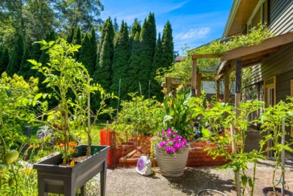 Neighborhood Park Photo Near 517 Ailsa Avenue, Port Moody, BC