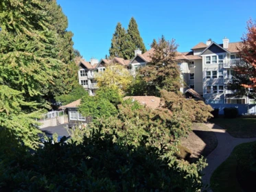 310 9626 148 Street, Surrey, BC, Surrey — Apartment/Condo for sale