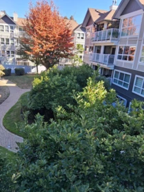 310 9626 148 Street, Surrey, BC, Surrey — Apartment/Condo for sale