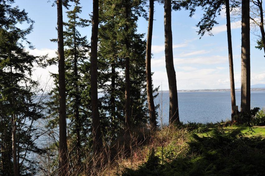 Family Room Photo of LT.4 12585 15 Avenue, Surrey, BC