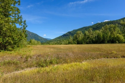 Bedroom 4 Photo of LOT A & LOT 6 Anstey Arm, No City Value, BC