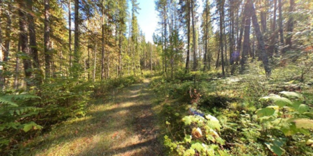 Office / Den Photo of LOT A & LOT 6 Anstey Arm, No City Value, BC