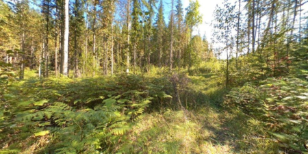 Powder Room Photo of LOT A & LOT 6 Anstey Arm, No City Value, BC
