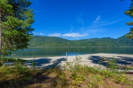LOT A & LOT 6 Anstey Arm, No City Value, BC