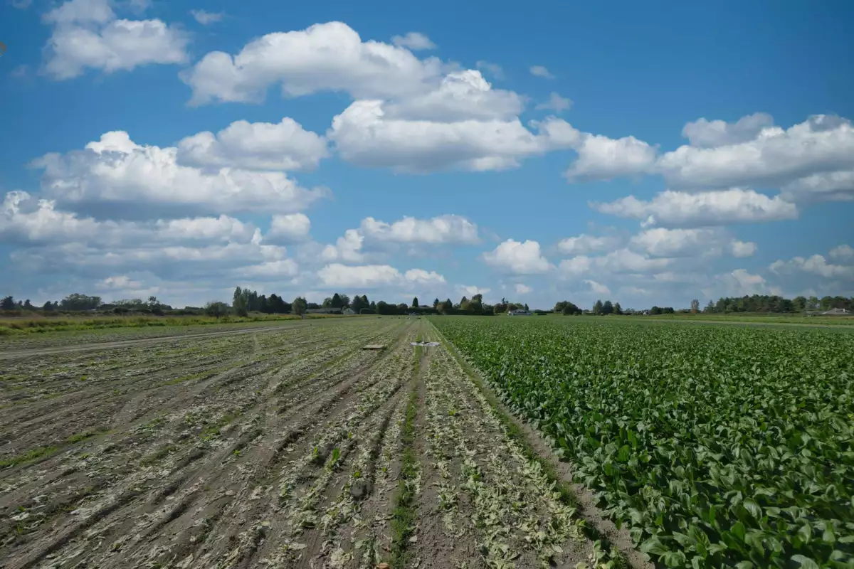 Outdoor Deck Photo of 12900 Gilbert Road, Richmond, BC