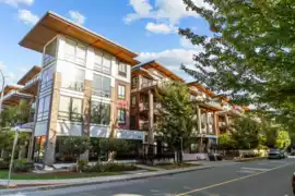 316 12460 191 Street, Pitt Meadows, BC