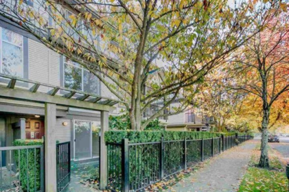14 6300 Alder Street, Richmond, BC, Richmond — Townhouse for sale