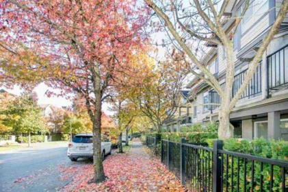 14 6300 Alder Street, Richmond, BC, Richmond — Townhouse for sale