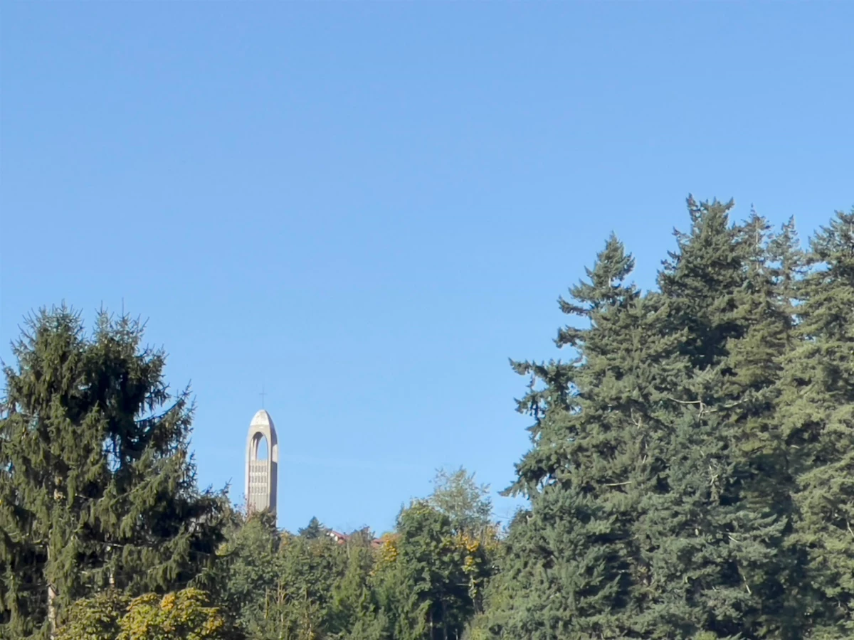 Aerial View of 35107 Mcewen Avenue, Mission, BC