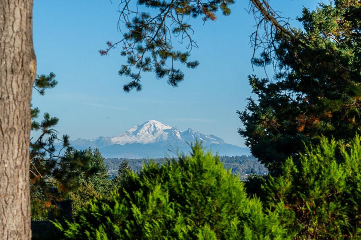 Hot Tub / Spa Photo of 1232 Parker Street, White Rock, BC