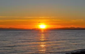 12631 15 Avenue, Surrey, BC