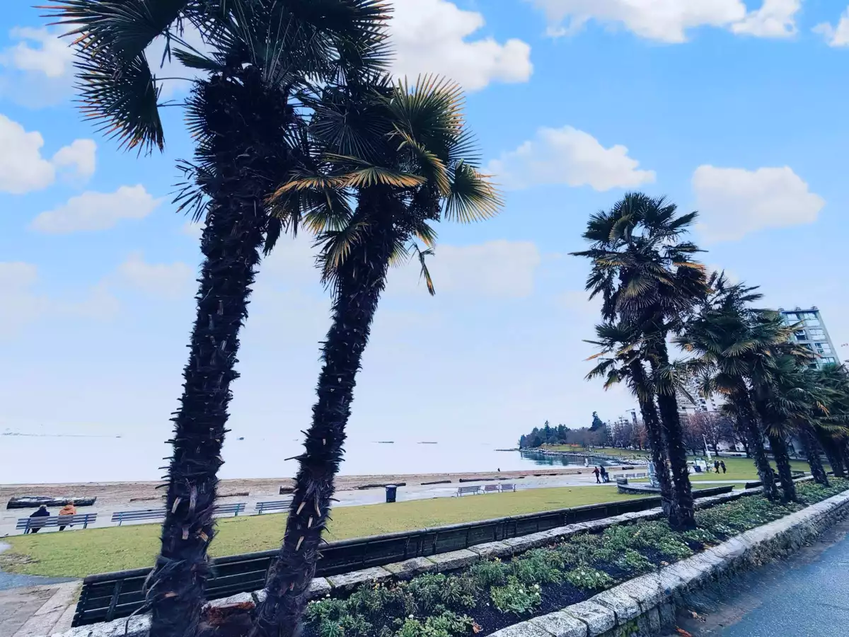 Outdoor Deck Photo of 1103 1221 Bidwell Street, Vancouver, BC