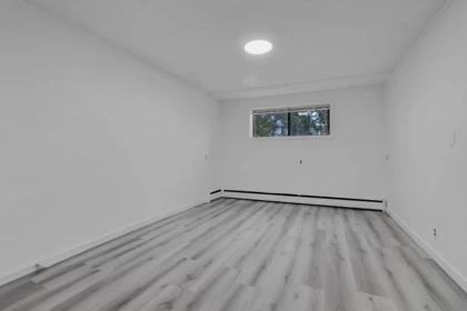 Basement Recreation Room Photo of 46194 Greenwood Drive, Chilliwack, BC