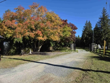 Outdoor Kitchen Photo of 10420 287 Street, Maple Ridge, BC
