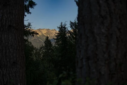 8270 Mountain View Drive, Whistler, BC, Whistler — Land for sale
