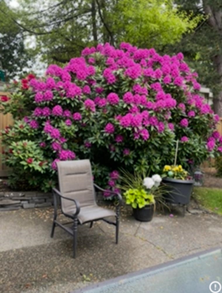 Fitness Center Photo Near 4 12945 17 Avenue, Surrey, BC