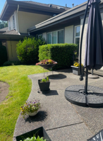 Community Amenities Photo (Clubhouse) of 4 12945 17 Avenue, Surrey, BC