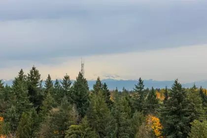 Hot Tub / Spa Photo of 1504 13880 101 Avenue, Surrey, BC