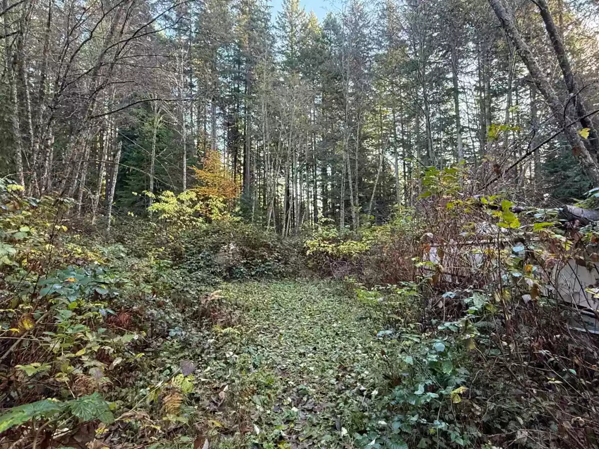 Exterior Front Photo of 1594 Cemetery Road, Gibsons, BC