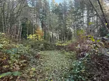 1594 Cemetery Road, Gibsons, BC, Gibsons & Area —  bed land for sale