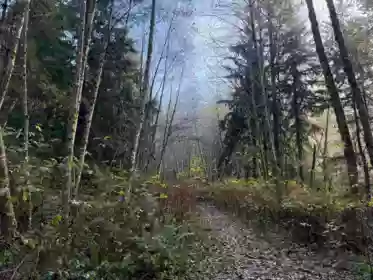 Pantry Photo of 1594 Cemetery Road, Gibsons, BC