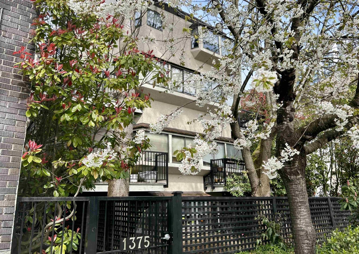 Exterior Rear Photo of 6 1375 W 10th Avenue, Vancouver, BC