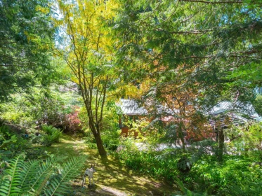 Backyard Photo of 8626 Redrooffs Road, Halfmoon Bay, BC
