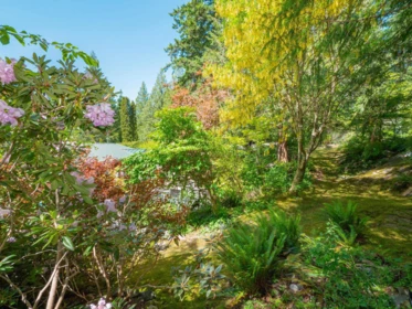 Outdoor Patio Photo of 8626 Redrooffs Road, Halfmoon Bay, BC