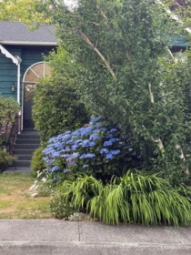 Breakfast Nook Photo of 11220 King Road, Richmond, BC