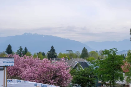1 5595 Fleming Street, Vancouver, BC, Vancouver — Half Duplex for sale