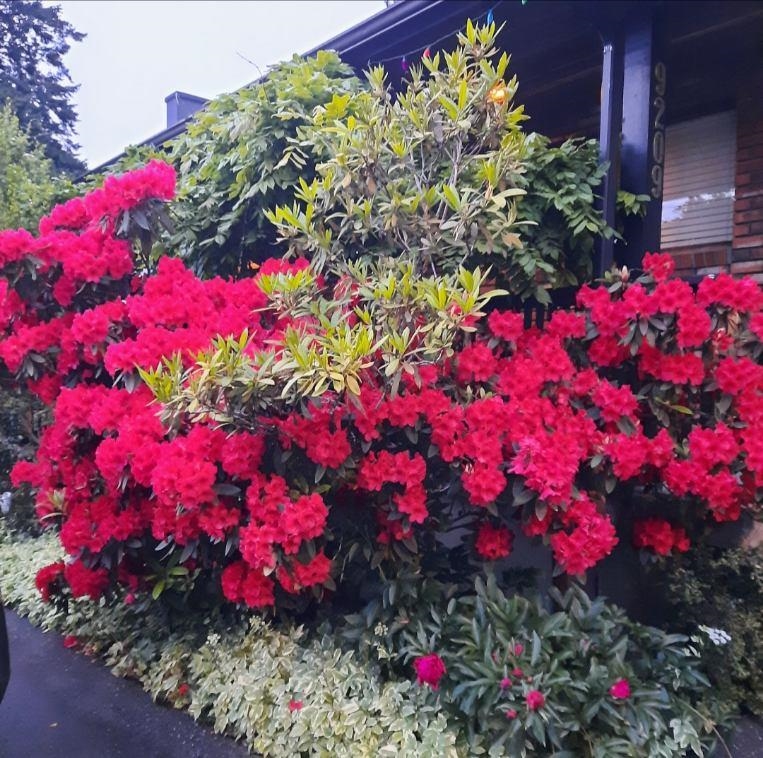 Kitchen Island Photo of 9209 Norum Road, Delta, BC