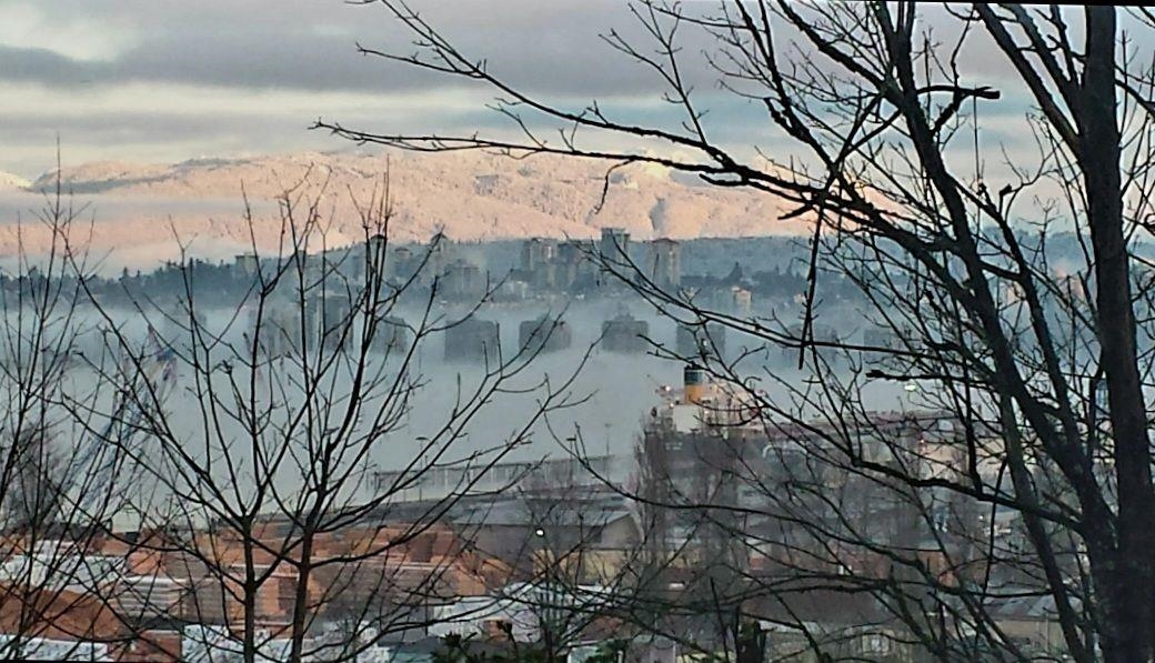 Living Room Photo of 9209 Norum Road, Delta, BC