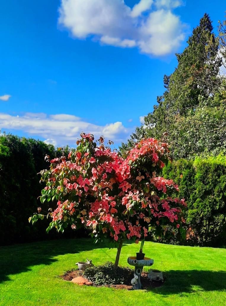 Neighborhood Park Photo Near 9209 Norum Road, Delta, BC